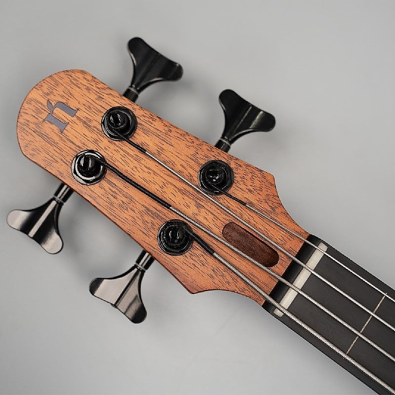 NATASHA NBSG Bass Fretless | Reverb