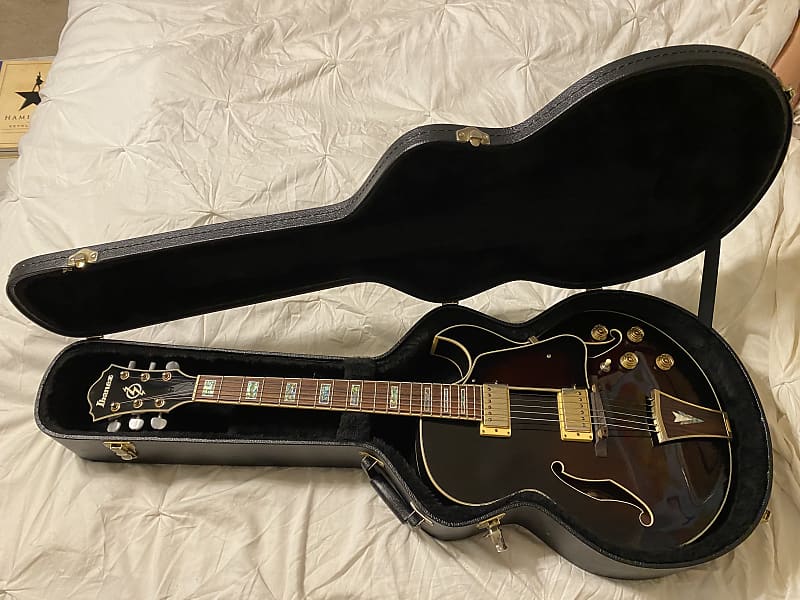 Ibanez AK95-DVS Artcore Hollow Body Electric Guitar w/ | Reverb