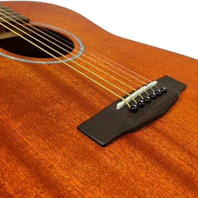 Berkeley Souvenir Acoustic Guitar image 4