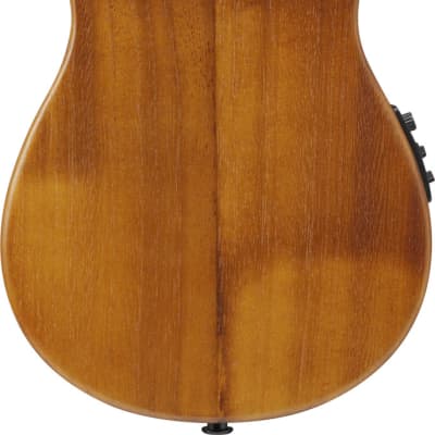 Ibanez AUC10E-OPN Concert Ukulele Open Pore Natural incl. Gigbag - NEW image 12