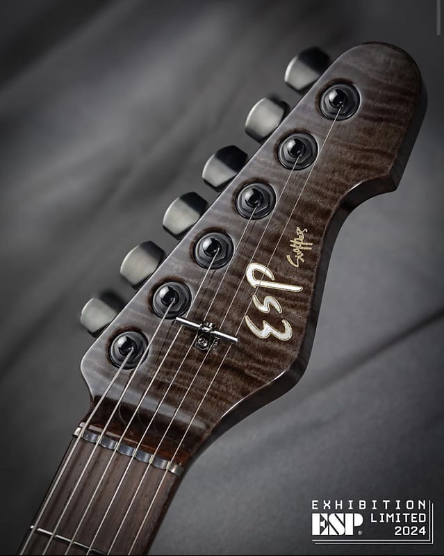 ギター ESP Navigator Custom Order Snapper 2H 24 Esp Navigator Custom Order Snapper 2H 24 | eBay