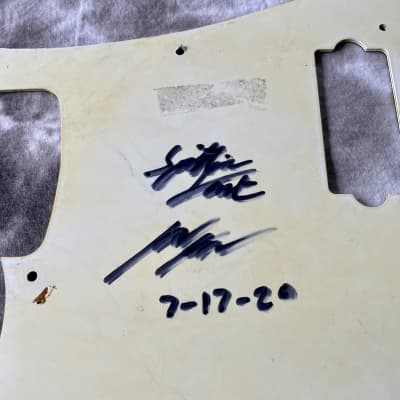 Spitfire Fender Precision bass faux Tort pickguard image 7