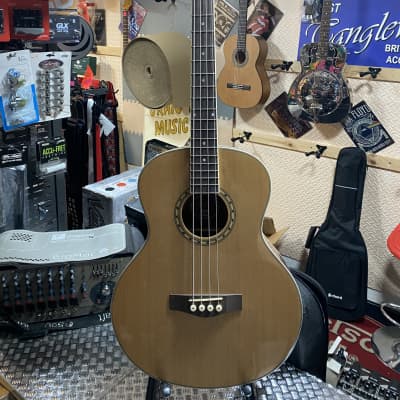 Washburn T12 Taurus Silver Electric Bass Guitar - ROAR!!! MUSIC