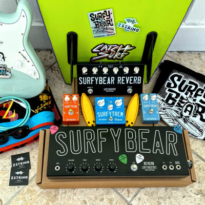 SurfyBear Classic Black Spring Reverb Unit with SurfyPan (v 2.0) image 5