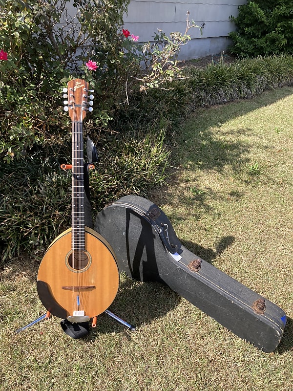 Flatiron 3M BouzoukiOctave Mandolin w/Fishman M400 pickup & Reverb
