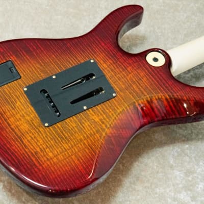 FREEDOM CUSTOM GUITAR RESEARCH HYDRA 24F 2Point 1P Flame Maple Body -Kabukimono- 2023 [Made in Japan] image 9