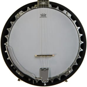Washburn Americana B10 5-string Resonator Banjo image 10