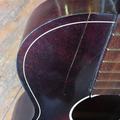 Mitchel Acoustic Guitar Project Guitar image 4