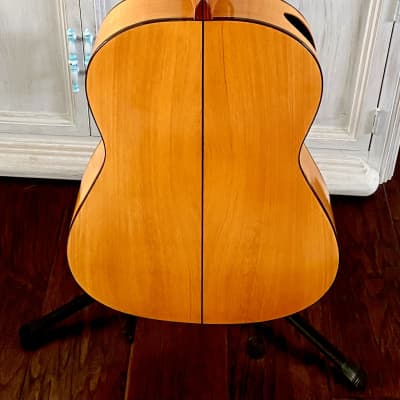 Darren Hippner Especial Barbero Flamenco Guitar Blanca 2023 Free Spanish Cejilla image 7
