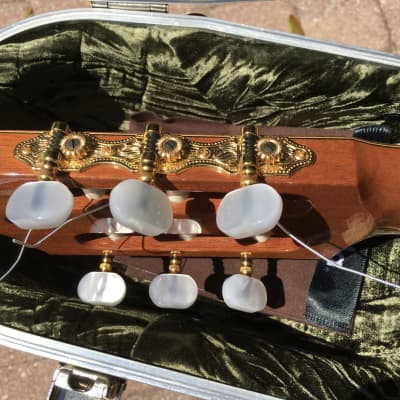 Ashley Sanders Classical Guitar Lattice Braced Cedar / Bolivian Rosewood - New Photos! image 14