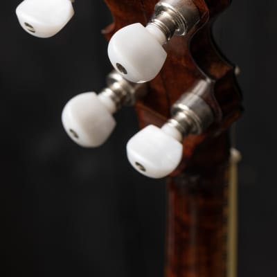 Wildwood Troubadour 5-String Open-Back Banjo Circa 1973 - Gloss image 19
