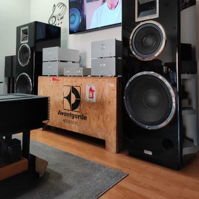 DANIEL HERTZ BY MARK LEVINSON M1 REFERENCE + 4 TELIKOS M5 + M6 2016 image 6