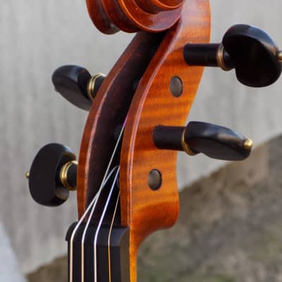 Professional Violin, Antique Dark Brown Varnish, Handmade in Kansas USA by Colton Mulder, Crow Creek Fiddles 2023 image 22