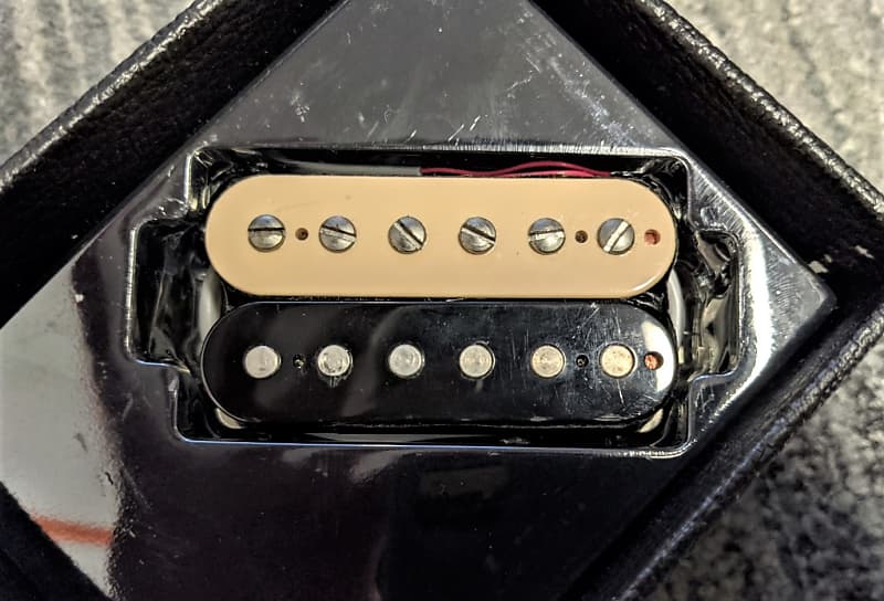 GIBSON】 LIVEBUCKER SET (ZEBRA)