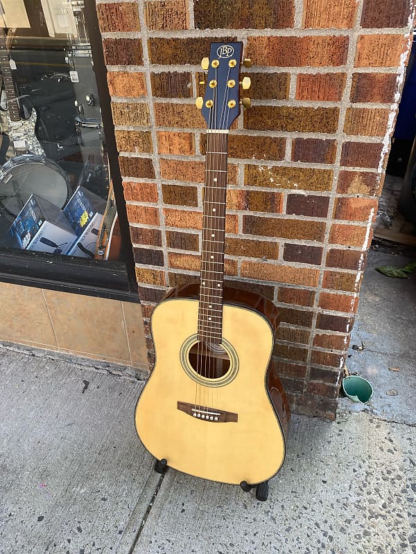 JB Player(JB90S) Acoustic Guitar Reverb