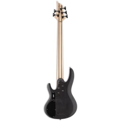 ESP LTD B-205SM 5-String Bass (Used/Mint) image 3