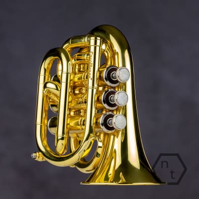 Pocket Trumpet & Full-Sized Trumpet Compared, CarolBrass 