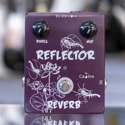 Caline CP-44 Reflector Spring Reverb Guitar Pedal for sale