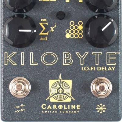 Caroline Kilobyte Lo-di Delay for sale