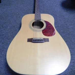 Cort earth 60 ns price outlet