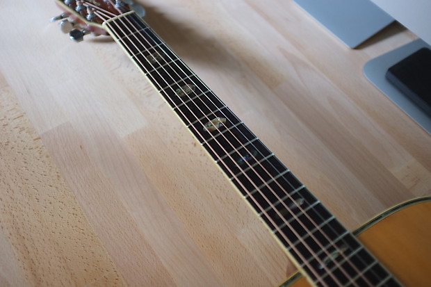 TF Morris W-50 | Reverb