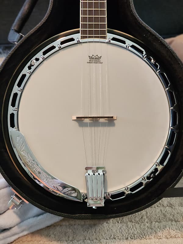 Ibanez B200 5 String Banjo W/Basswood Rim | Reverb