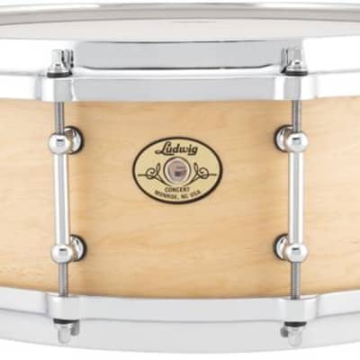 Ludwig Concert Maple Snare Drum - 5-inch x 14-inch  Satin Natural image 1