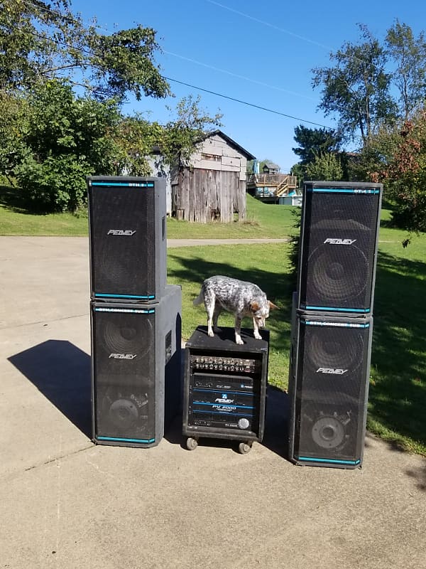 Peavey public address store systems