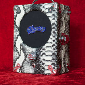 Pignose guitar amp 2025