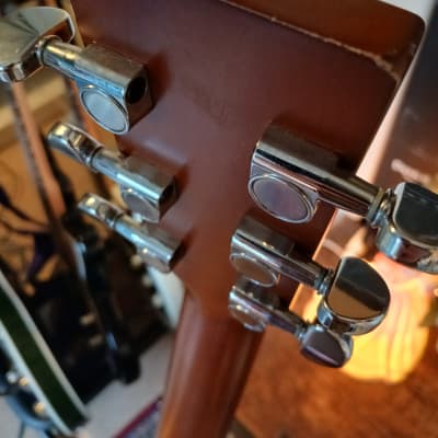 Simon & Patrick Woodland 6 Cedar Natural | Reverb UK