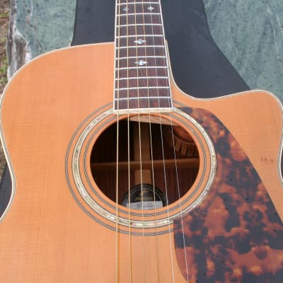 Morris Rumbler WA-808 Brazilian Rosewood Guitar with Cutaway 2000  Natural+Original Flight Case FREE | Reverb