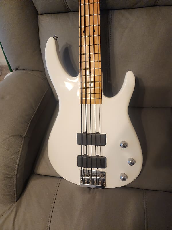 peavey foundation 5 string bass