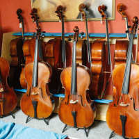 Importuno Violins 