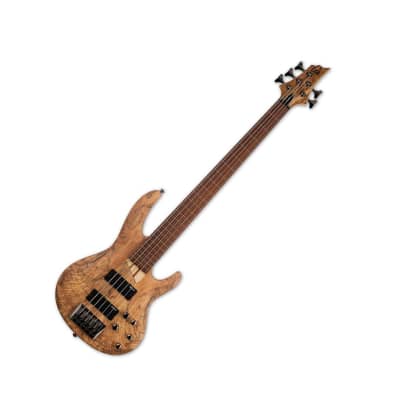 ESP LTD B-205SM Fretless 5-String Electric Bass Guitar with Roasted Jatoba Fingerboard, Ash Body, Spalted Maple Top, and 5-Piece Maple or Jatoba Neck (Right-Handed, Natural Satin) image 5