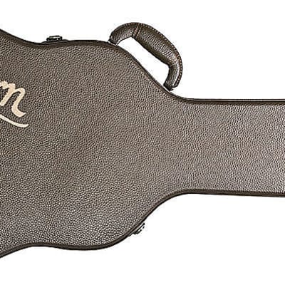 Washburn PXL10FTBM Parallaze Singlecut Flame Top Transparent