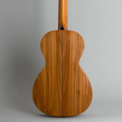Washburn Style E Flat Top Acoustic Guitar, made by Lyon & Healy (1923-5), black hard shell case. image 8
