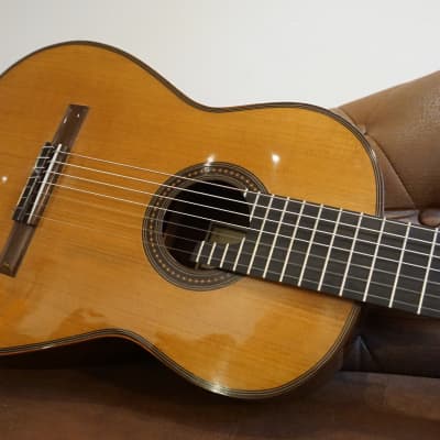Thomas Fredholm 7 String Luthier Guitar image 3