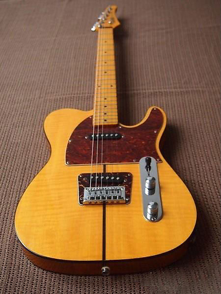 Hohner the prinz clearance telecaster