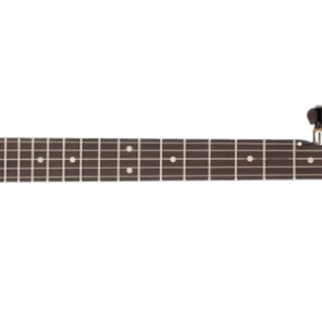 Gretsch G9450 Dixie 5-String Open-Back 2016 image 1