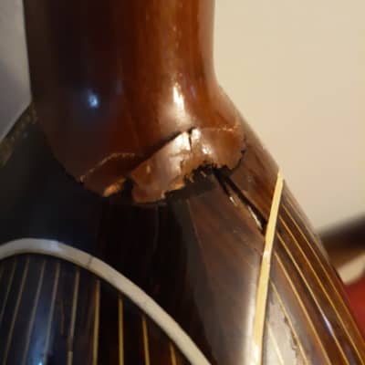 Washburn Bowl Back Mandolin, 26 Ribs, 1880-1920, Ornate, Tooled Leather OHSC image 24