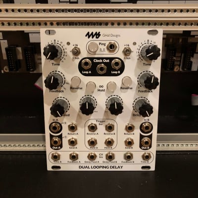 4MS Dual Looping Delay