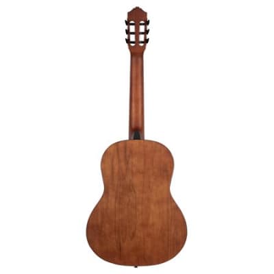 Ortega RSTC5M Nylon String Acoustic Guitar Cedar image 5