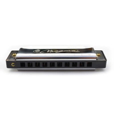 Magma Harmonica, 10 Holes 20 Tones Blues Diatonic Harmonica Key of C For Adults, Beginners, Professional Player and Kids, as Gift, Silver (H1004S) image 6
