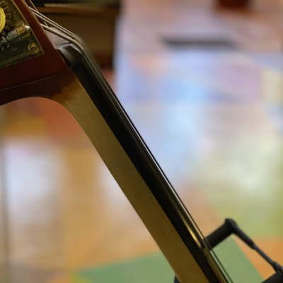 Benedict Puglisi 3/4 Double Bass image 11