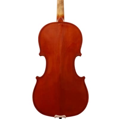 Maple Leaf Strings Apprentice Collection 4/4 Violin MLS110VN image 2
