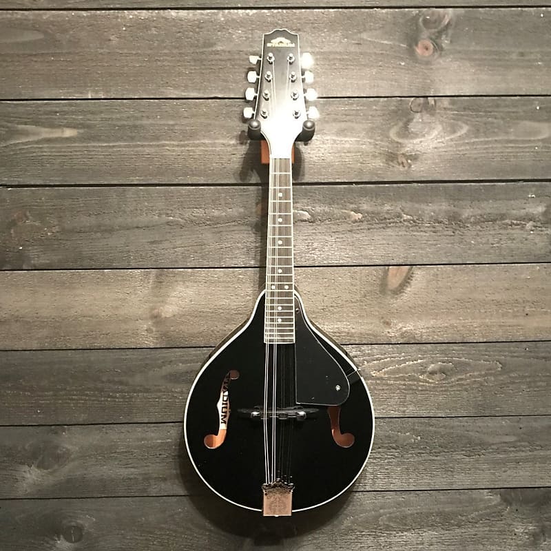 STADIUM ASTYLE MANDOLIN VINTAGE F HOLES Reverb