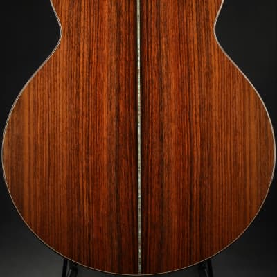 Ryan Cathedral Grand Fingerstyle - Sitka Spruce & Indian Rosewood 2003 *VIDEO* image 5