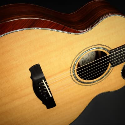 Ryan Cathedral Grand Fingerstyle - Sitka Spruce & Indian Rosewood 2003 *VIDEO* image 18