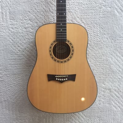 Peavey DW-1 Acoustic-Electric Guitar image 1