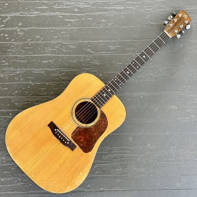 Gallagher Dreadnought Acoustic Guitar, G-45, 1970 image 2